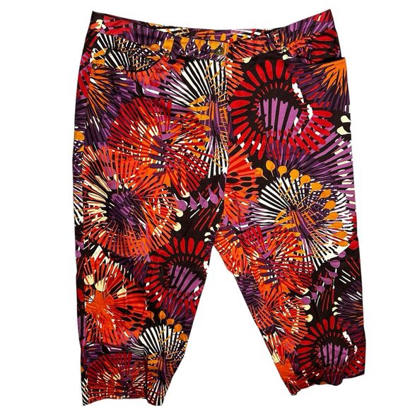 Lark Lane Pants - Lark Lane Women’s Size‎ 16 Capris